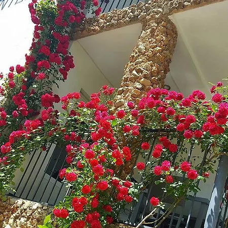 El Parral Apartamento Arroyo Frío